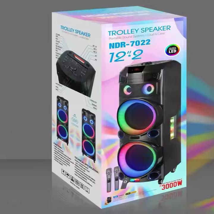 NDR-7022 12"*2 Trolley Speaker with Karaoke